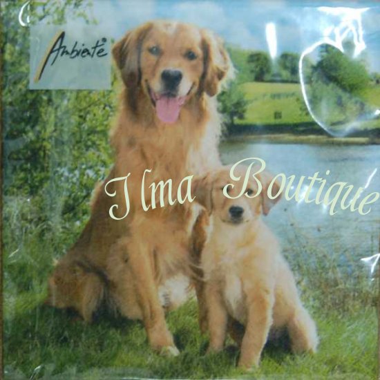 Golden Retriever 3-laags papieren servetten pakje per 20 st. - Klik op de afbeelding om het venster te sluiten