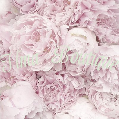 Hortensias 3-laags papieren servetten pakje per 20 st - Klik op de afbeelding om het venster te sluiten