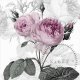 Paarse Vintage Rose 3-laags papieren servetten pakje per 20 st