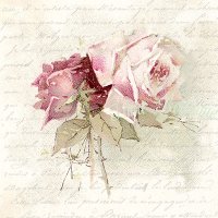 Vintage rozen