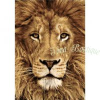 Wizardi Diamond Painting Lion